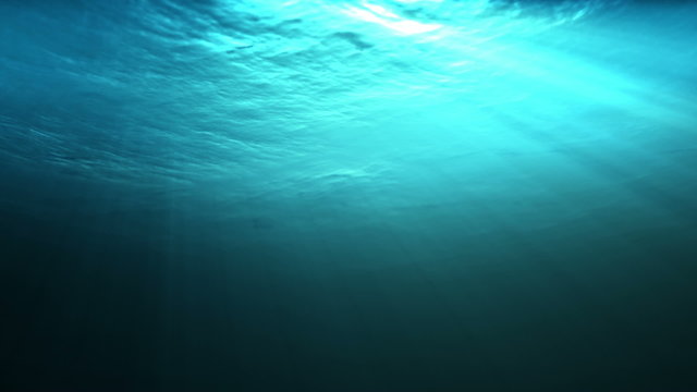 Seamlessly loop-able underwater view