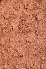 still life of chocolate in cocoa