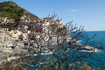 Manarola - one of the cities of Cinque Terre in italy