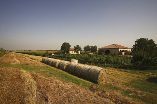 Delta del Po, provincia di Rovigo