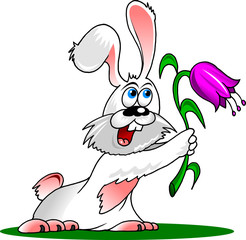 rabbit and flower