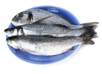 Fresh fishes on plate isolated on white