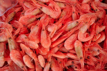 Garnelen auf dem Fischmarkt