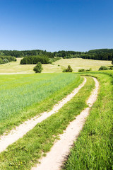 Road through the spring/summer countryside