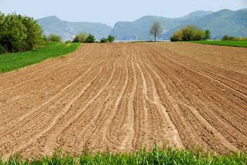 Plowed field