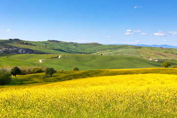 Tuscan Val d'Orcia view