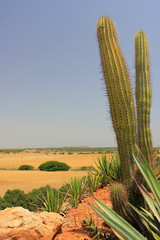 Botanischer Garten Mallorca
