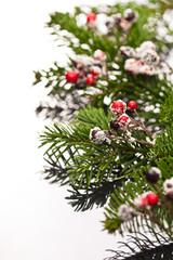 Fototapeta na wymiar Holly and Christmas tree branches