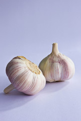 garlic