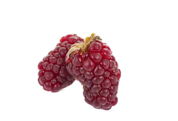 Fresh Raspberries isolated