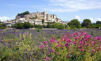 Provence 10