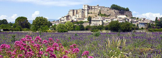 Provence 11