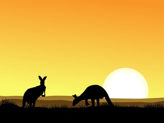 Fototapeta na wymiar Kangur z zachodem słońca tle