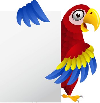 Macaw with blank sign