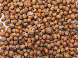 Hasel- und Walnüsse