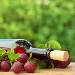 Red wine and grape on green summer background
