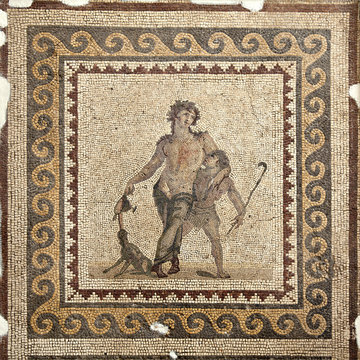 The Drunken Dionysus Mosaic