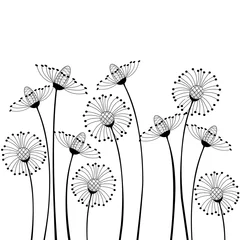 Papier Peint photo autocollant Fleurs noir et blanc fleurs de pré