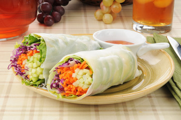 Vegetarian salad wraps