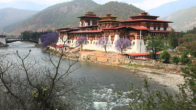 punakha dzong at paro, bhutan