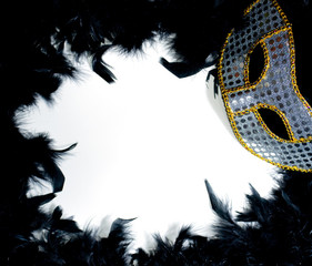 Mardi Gras Mask on Bed of Feathers