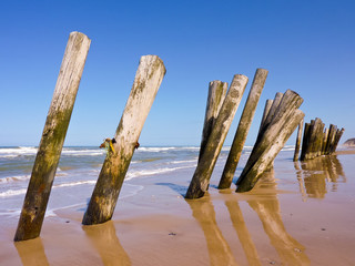 Meer
