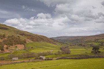 Fototapeta premium Swaledale in the Yorkshire Dales national park.