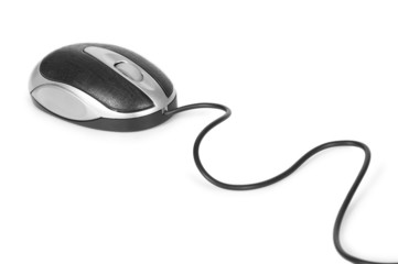 computer mouse  isolated on white