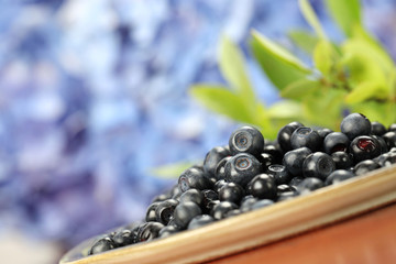 Wild blueberries