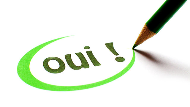 oui entour&eacute; de vert &eacute;criture crayon