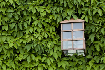 Farol en el castillo de Olite, Navarra, Espa&ntilde;a