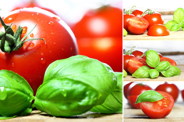 Tomaten mit Basilikum