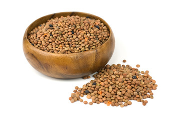 Lentil