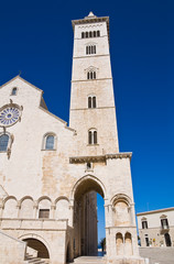 Fototapeta premium Cathedral of Trani. Puglia. Italy.
