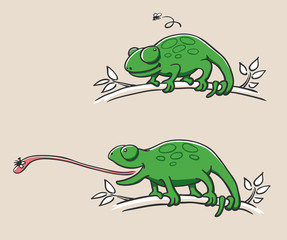Hunting Chameleon