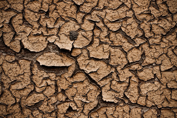 peel painted rusty surface texture