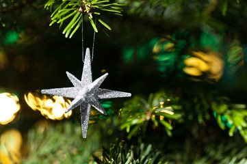 Decorative Silver Star ornament