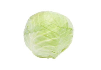 Fototapeta premium Head of green cabbage