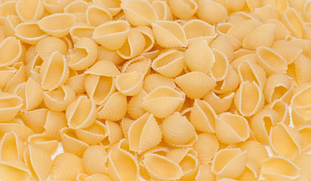 Macaronis of "Cockleshell" close-up