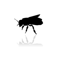 Abeille en ombre chinoise