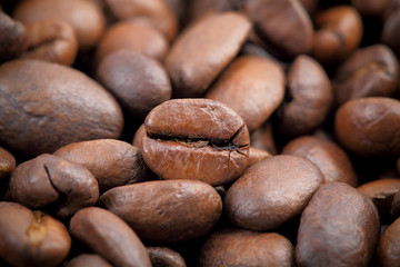 Coffee beans in closeup