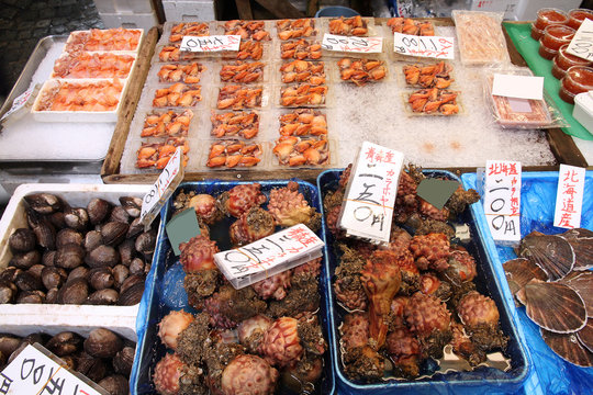 Seafood market in Japan - Tsukiji in Tokyo