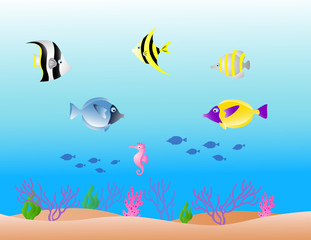 Fototapeta na wymiar Background Sea Life