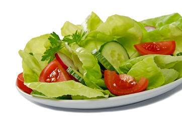 grüner Salat mit Tomaten,Gurken & Radieschen