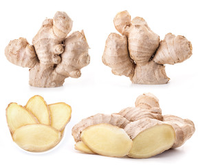 Collection Ginger root isolated on a white background