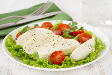 cheese mozzarella with tomato cherry on the plate