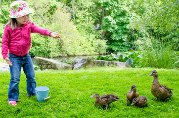 Pretty little girl feeds ducks at a neighbourhood pond