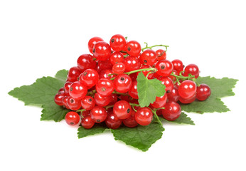 blackcurrant of green leaf on white background