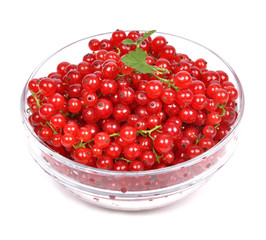 blackcurrant in a glass bowl on a white background.