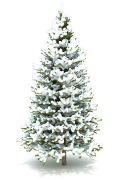 Christmas tree covered with snow